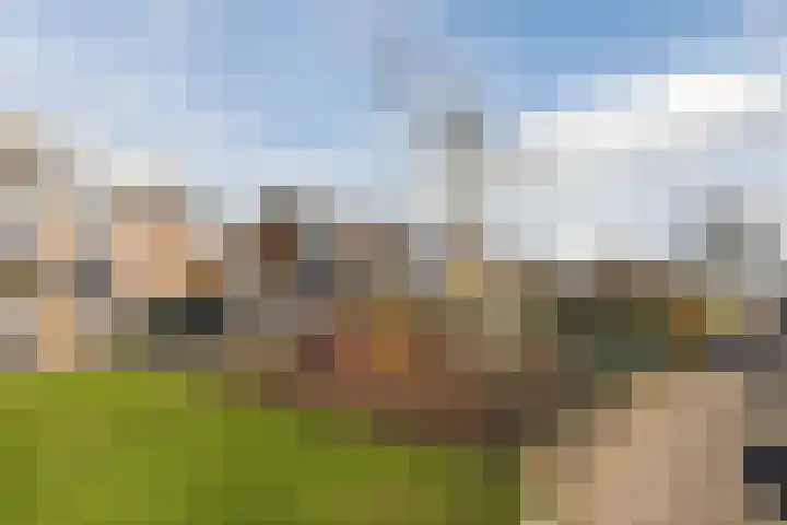 Esdoornlaan 13 Harmelen thumbnail 43