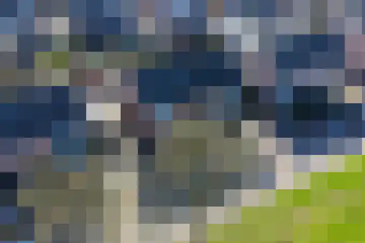 Esdoornlaan 13 Harmelen thumbnail 5