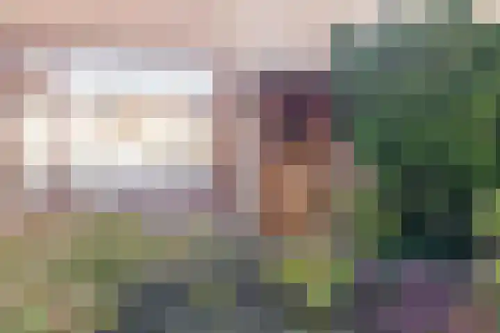 Esdoornlaan 13 Harmelen thumbnail 8