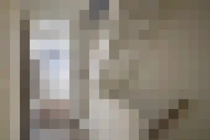 Esdoornlaan 14 Pijnacker thumbnail 16