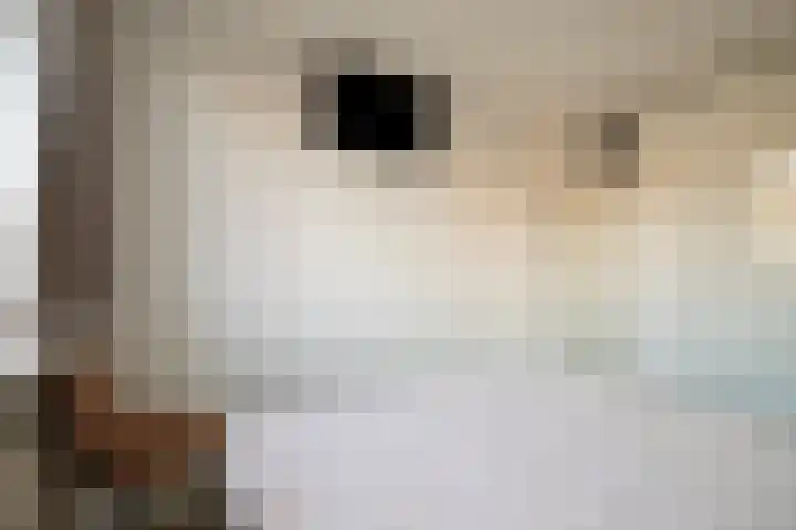 Esdoornlaan 14 Pijnacker thumbnail 19