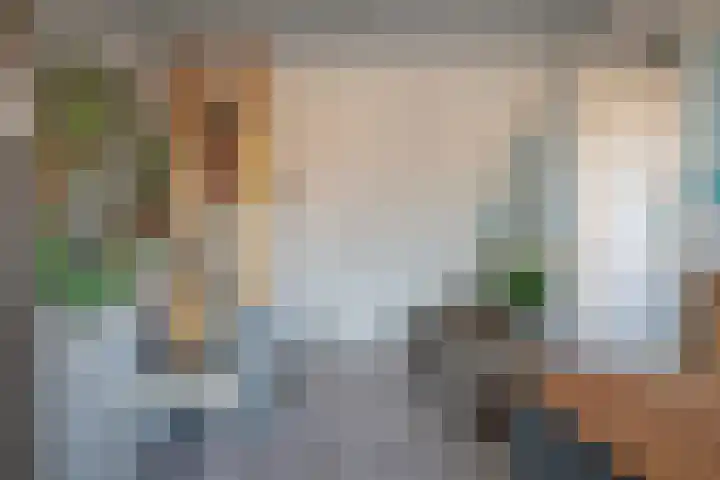 Esdoornlaan 14 Pijnacker thumbnail 28