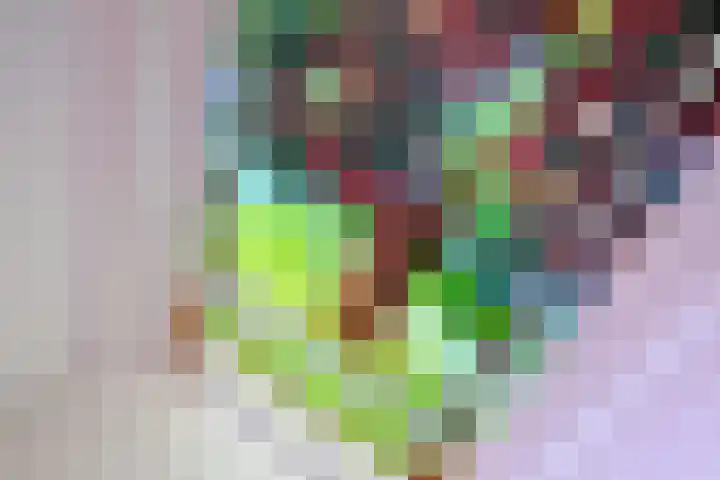 Esdoornlaan 15 Gorssel thumbnail 12