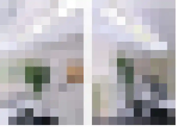 Esdoornlaan 15 Gorssel thumbnail 18