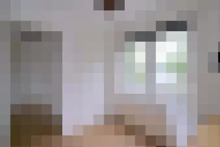 Esdoornlaan 15 Gorssel thumbnail 36