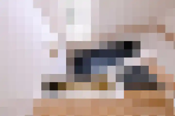 Esdoornlaan 15 Gorssel thumbnail 38