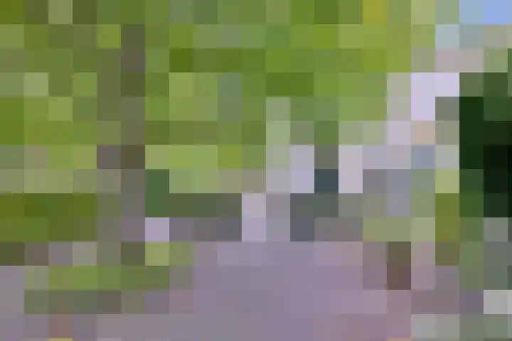 Esdoornlaan 15 Gorssel thumbnail 40