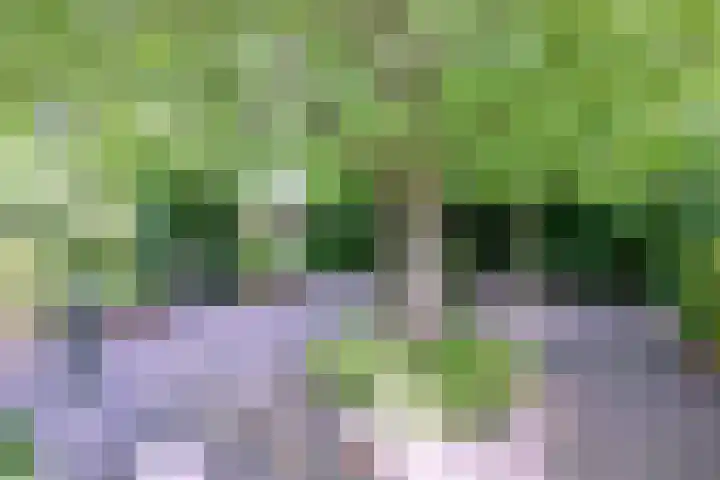 Esdoornlaan 15 Gorssel thumbnail 41