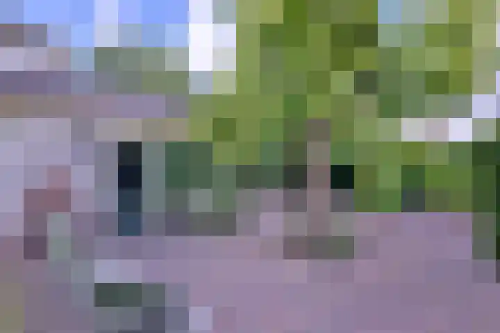 Esdoornlaan 15 Gorssel thumbnail 42