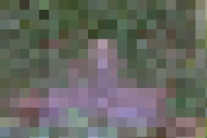 Esdoornlaan 15 Gorssel thumbnail 44