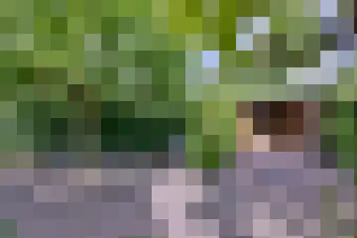 Esdoornlaan 15 Gorssel thumbnail 45