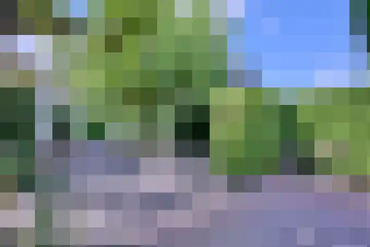 Esdoornlaan 15 Gorssel thumbnail 46