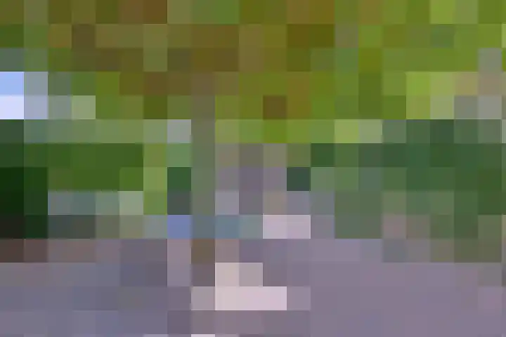 Esdoornlaan 15 Gorssel thumbnail 47