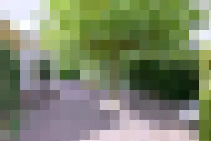 Esdoornlaan 15 Gorssel thumbnail 48