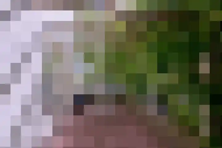 Esdoornlaan 15 Gorssel thumbnail 49