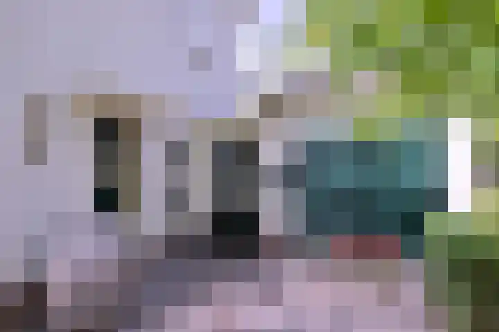 Esdoornlaan 15 Gorssel thumbnail 5