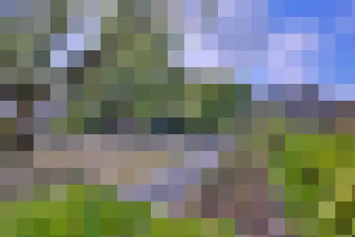 Esdoornlaan 15 Gorssel thumbnail 50