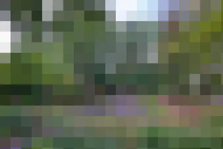 Esdoornlaan 15 Gorssel thumbnail 51