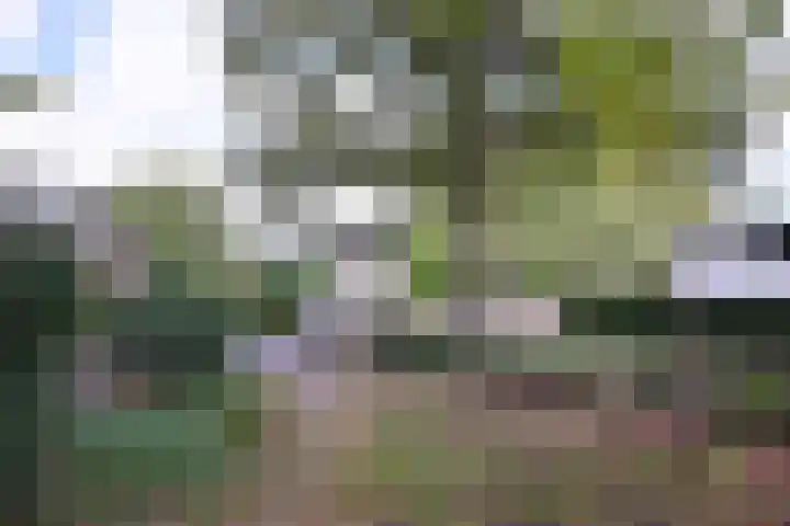 Esdoornlaan 15 Gorssel thumbnail 52