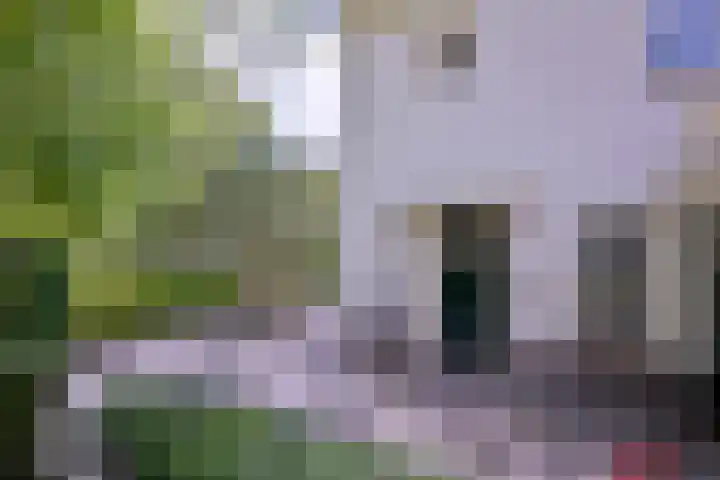 Esdoornlaan 15 Gorssel thumbnail 6