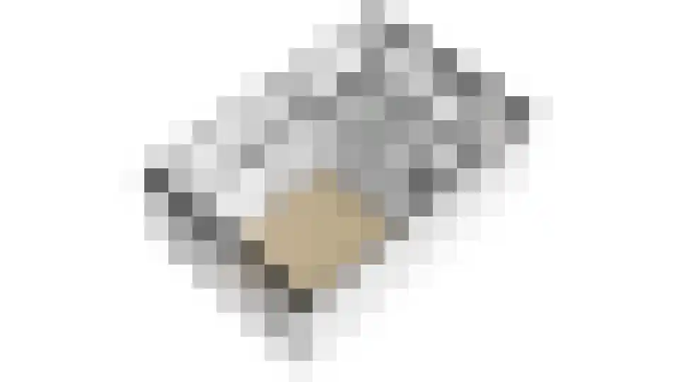 Esdoornlaan 15 Waddinxveen thumbnail 19