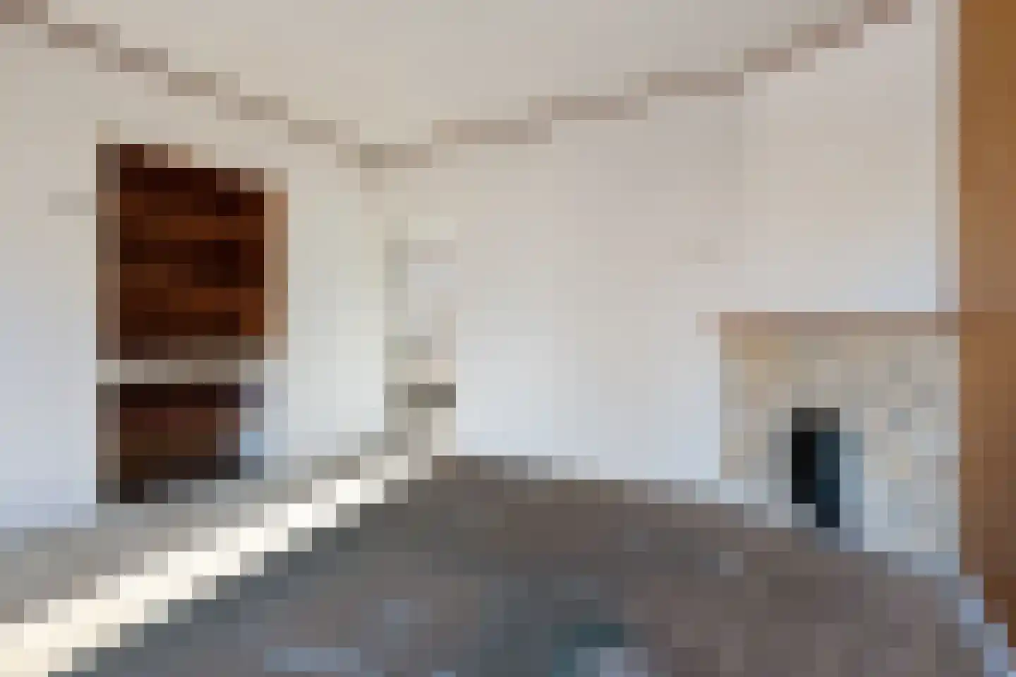 Esdoornlaan 15 Waddinxveen thumbnail 4
