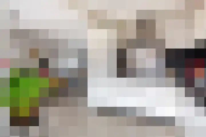 Esdoornlaan 150 Rozenburg thumbnail 14