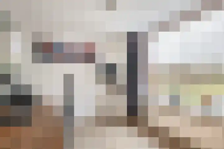 Esdoornlaan 150 Rozenburg thumbnail 23