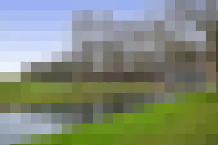 Esdoornlaan 150 Rozenburg thumbnail 39