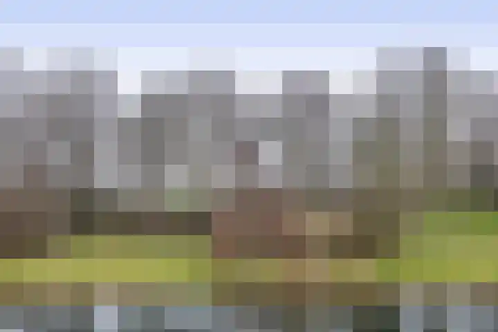Esdoornlaan 150 Rozenburg thumbnail 40