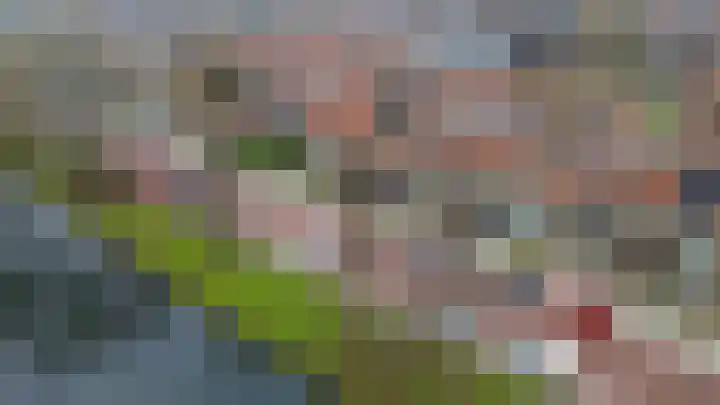 Esdoornlaan 150 Rozenburg thumbnail 45