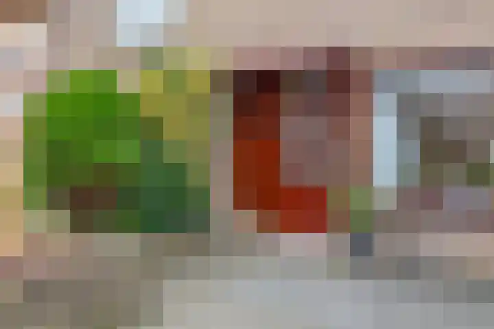 Esdoornlaan 150 Rozenburg thumbnail 6
