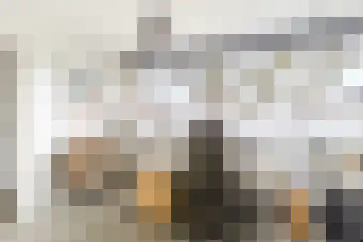 Esdoornlaan 17 Dordrecht thumbnail 27
