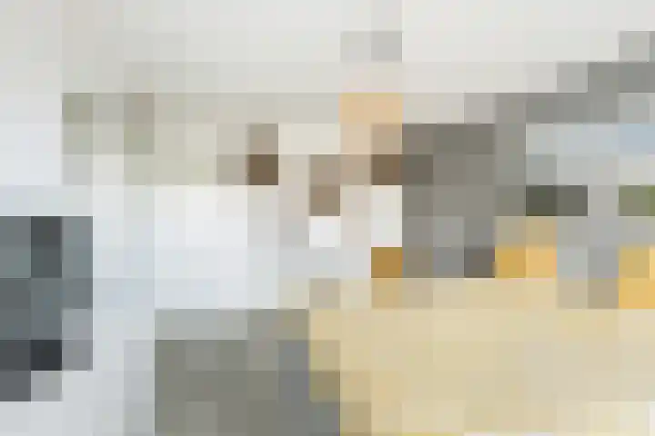 Esdoornlaan 17 Dordrecht thumbnail 31