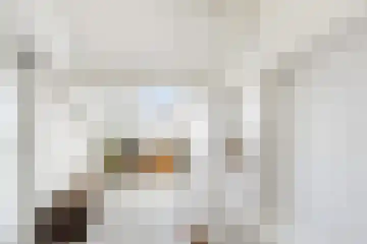 Esdoornlaan 17 Dordrecht thumbnail 34