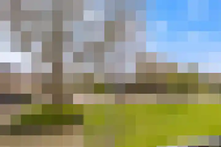 Esdoornlaan 17 Dordrecht thumbnail 38