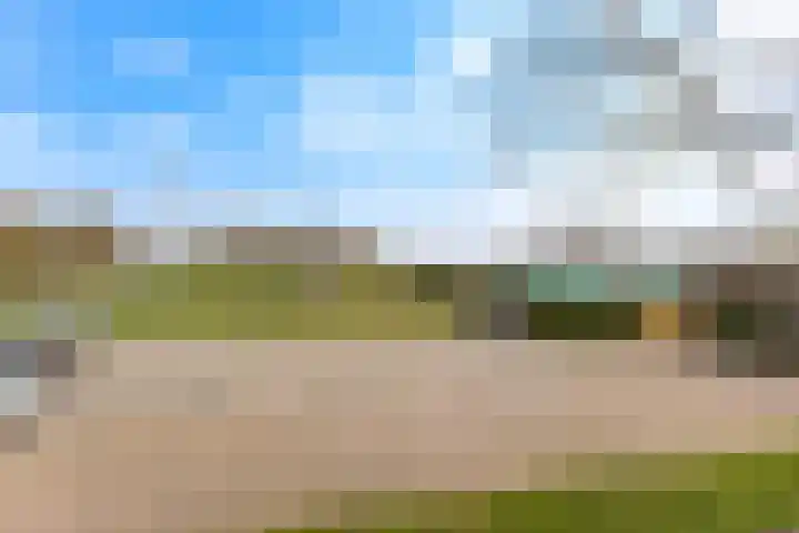 Esdoornlaan 17 Dordrecht thumbnail 39