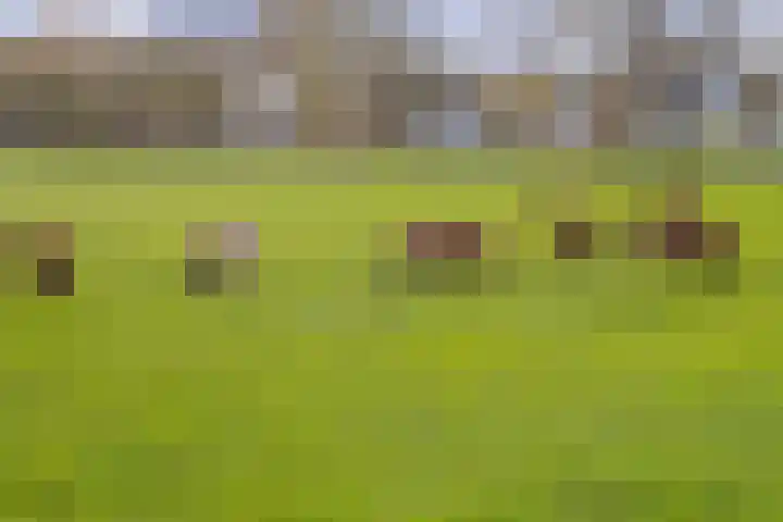 Esdoornlaan 17 Dordrecht thumbnail 40