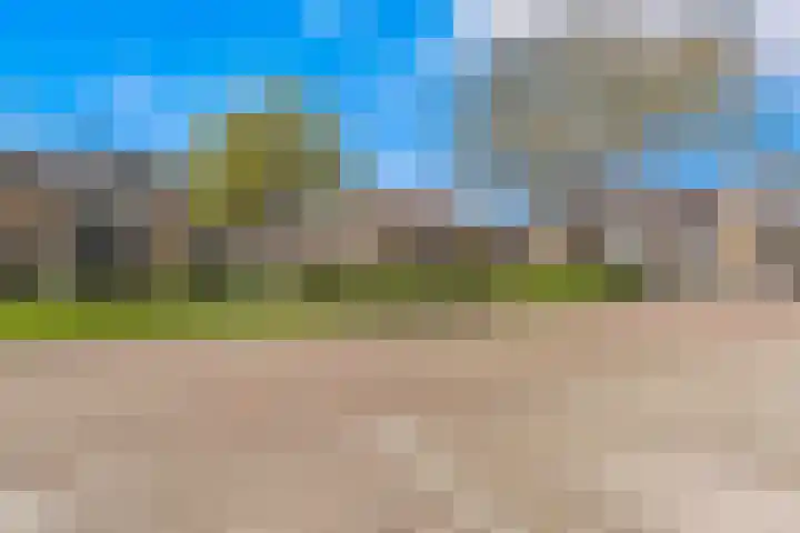 Esdoornlaan 17 Dordrecht thumbnail 6