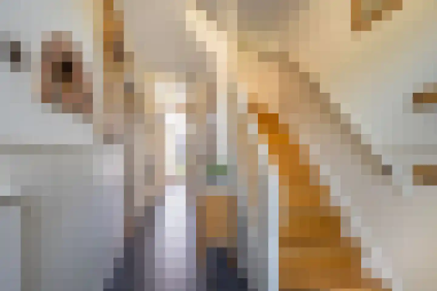 Esdoornlaan 18 Nijkerk thumbnail 12