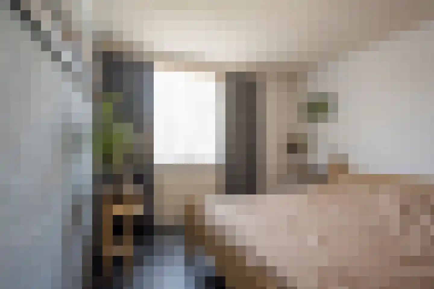 Esdoornlaan 18 Nijkerk thumbnail 15