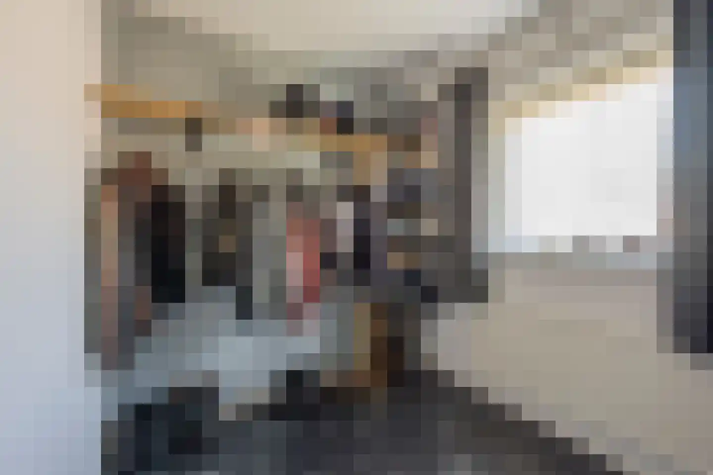 Esdoornlaan 18 Nijkerk thumbnail 17