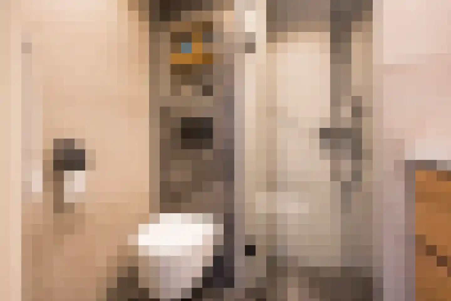 Esdoornlaan 18 Nijkerk thumbnail 22