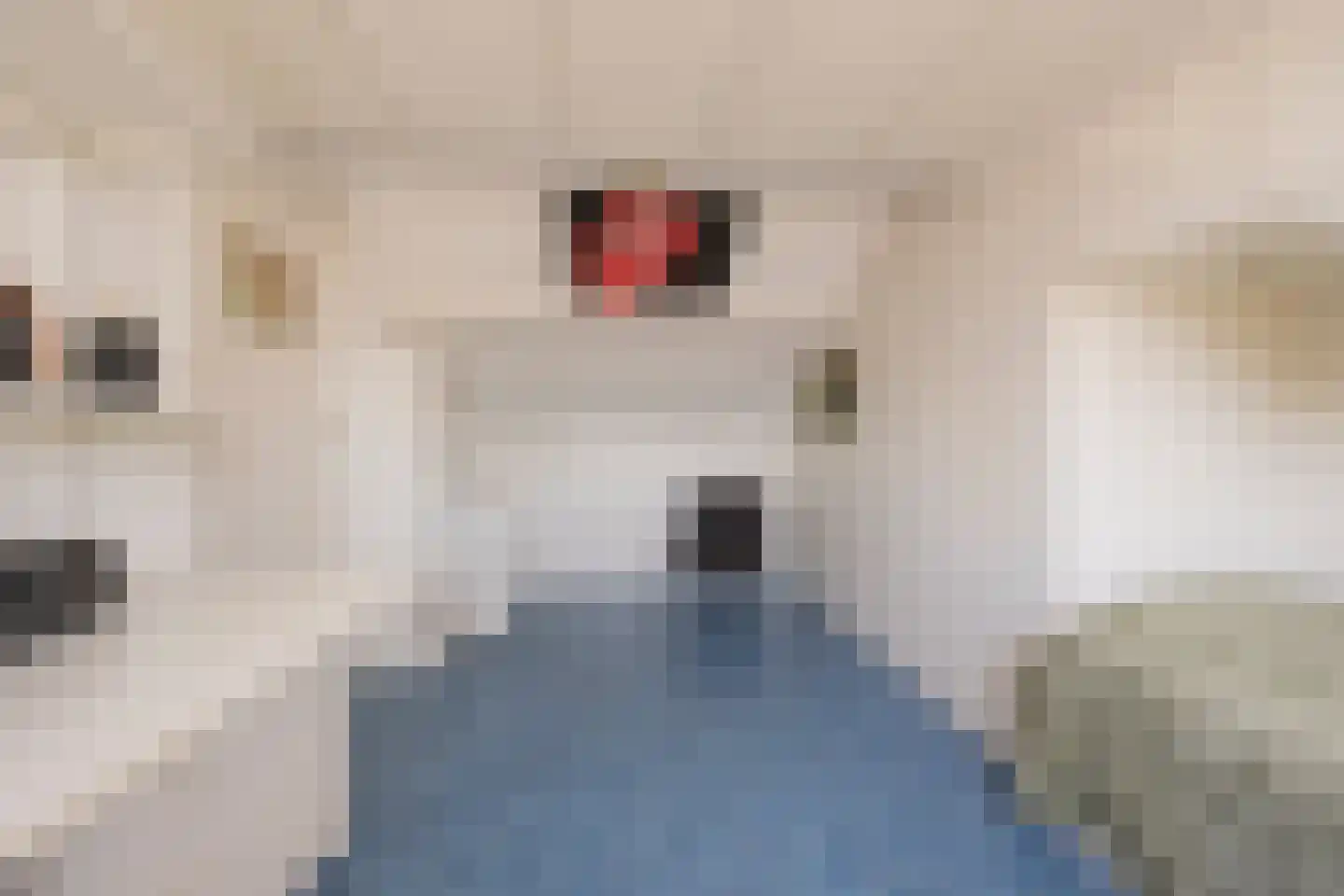 Esdoornlaan 18 Nijkerk thumbnail 26