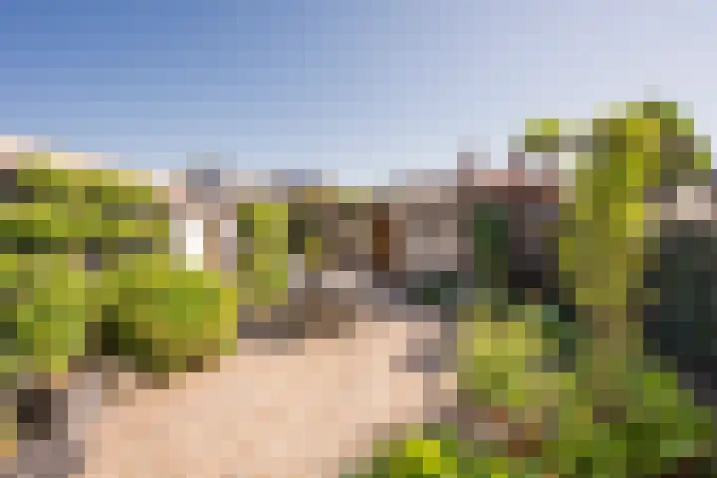 Esdoornlaan 18 Nijkerk thumbnail 32