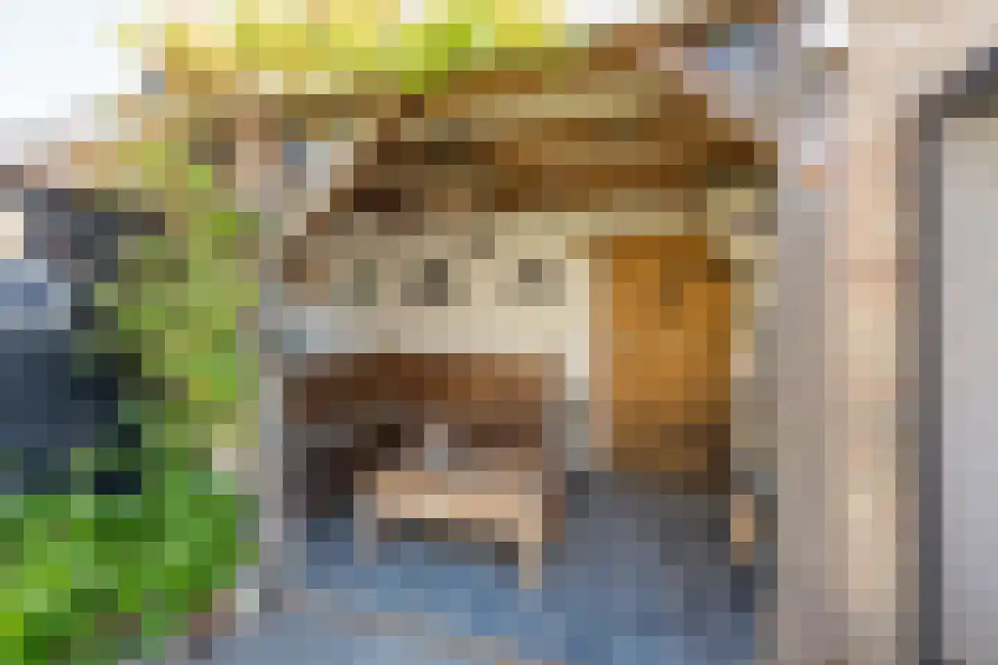 Esdoornlaan 18 Nijkerk thumbnail 34