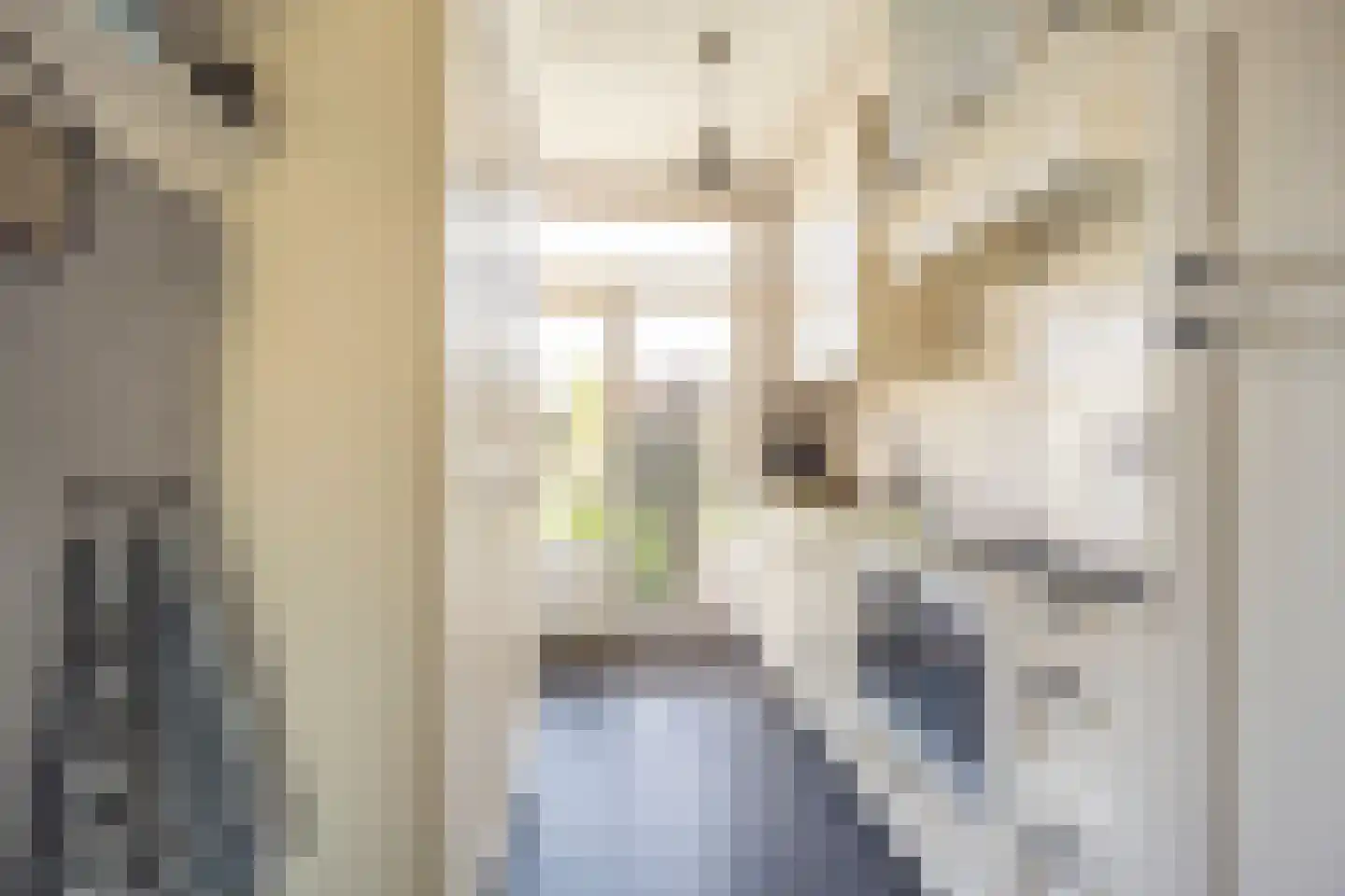 Esdoornlaan 18 Nijkerk thumbnail 7