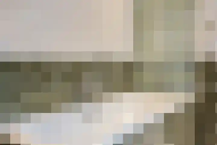 Esdoornlaan 2 Eijsden thumbnail 16