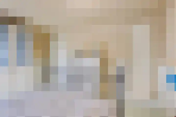 Esdoornlaan 2 Eijsden thumbnail 20