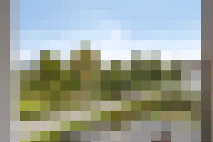 Esdoornlaan 2 Eijsden thumbnail 24